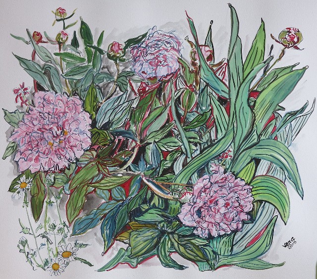 Vera Dernovsek, Peonies 2015, watercolor on paper